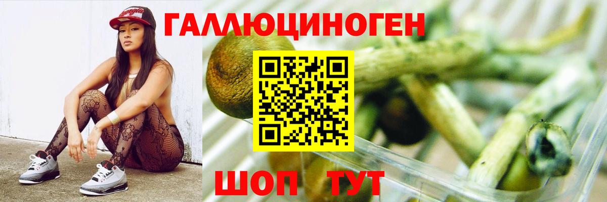 Галлюциногенные грибы Cubensis  Вход с VPN  Кушва  Псилоцибиновые грибы GOLDEN TEACHER 